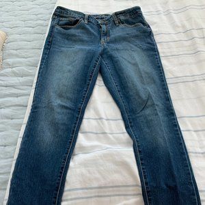 Universal Thread Skinny Jeans
